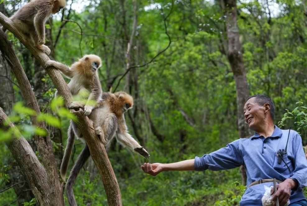 首次立法！國家公園筑起“法治屏障”